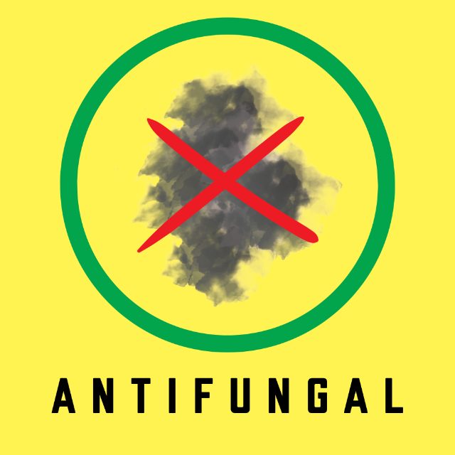 Anti Fungal